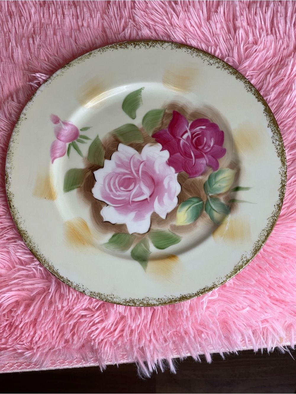 Antique Norleans hand painted plate